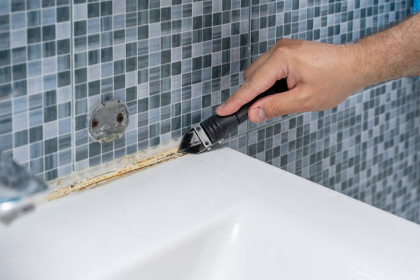 Best Local Mold Removal Service  in Live Oak, TX